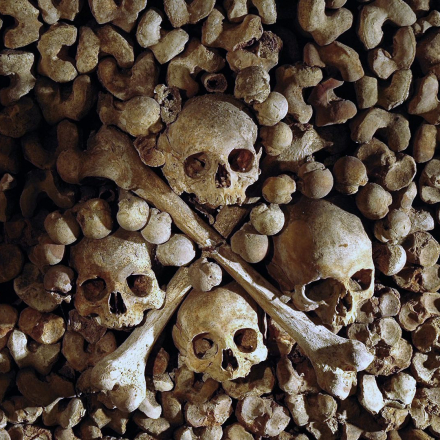 Images tarifs individuels